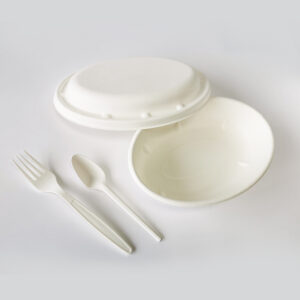 Sugarcane round bowl