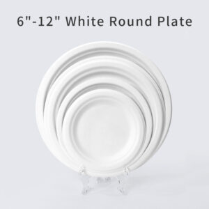 bagasse square plate