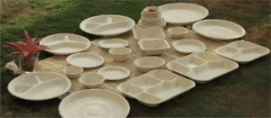 bagasse frok
